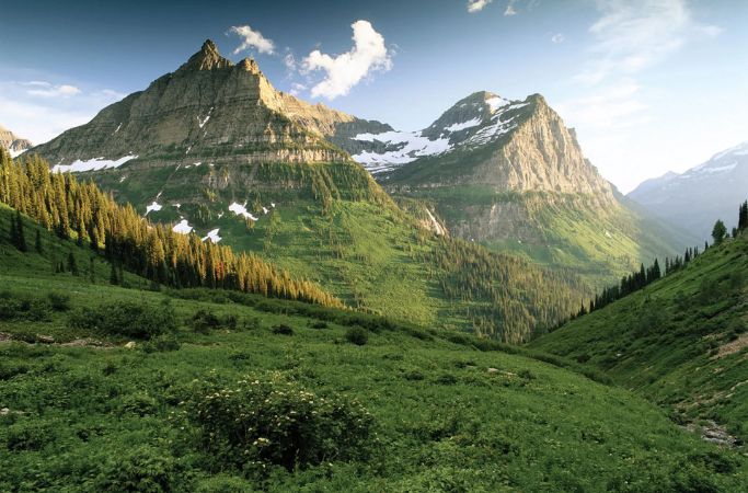 Montana